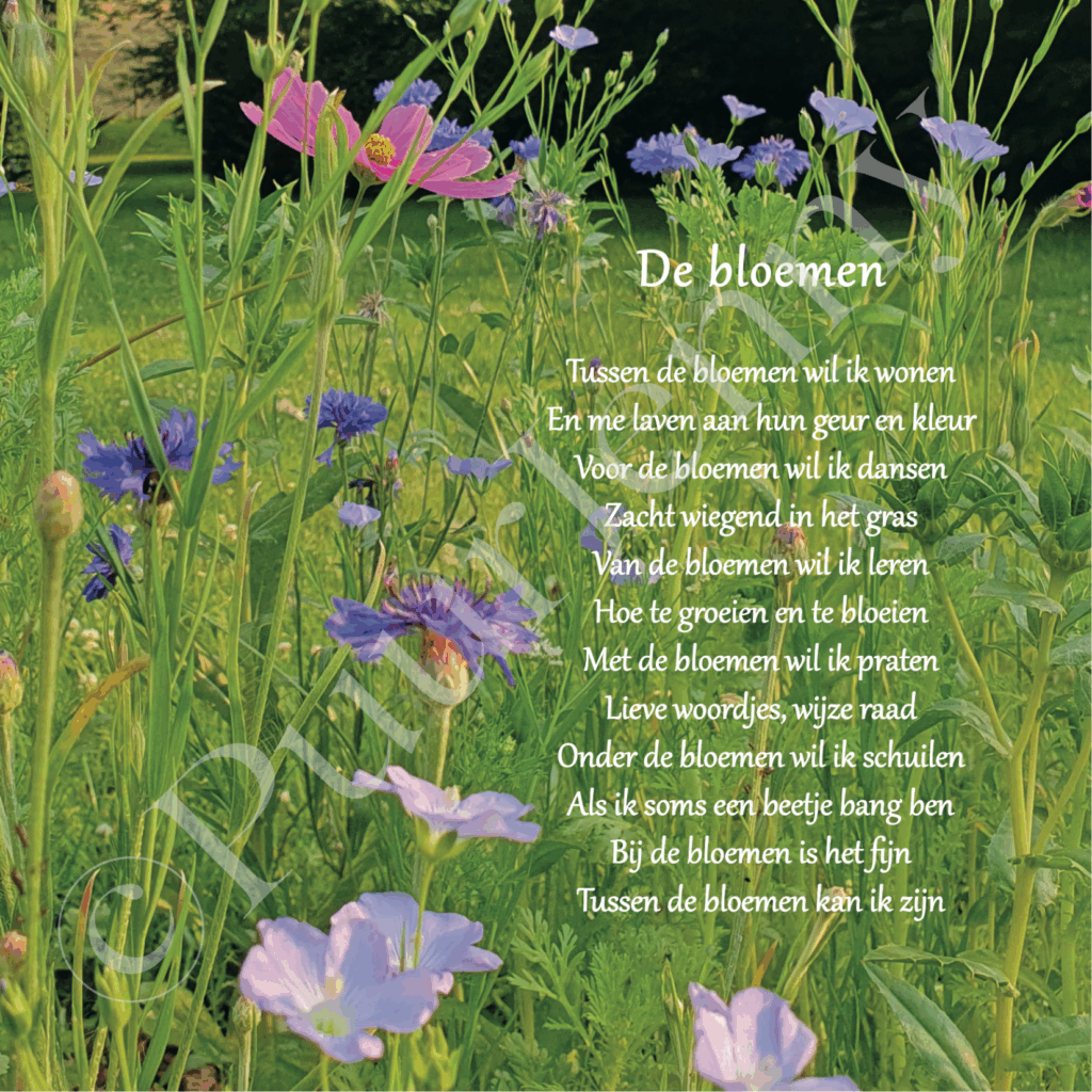 Beeldgedicht De bloemen