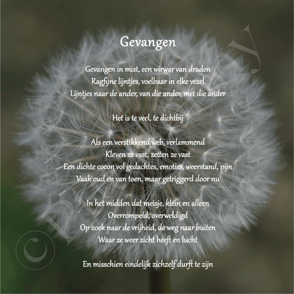 Beeldgedicht Gevangen