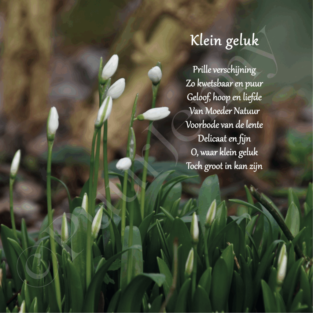 Beeldgedicht Klein geluk