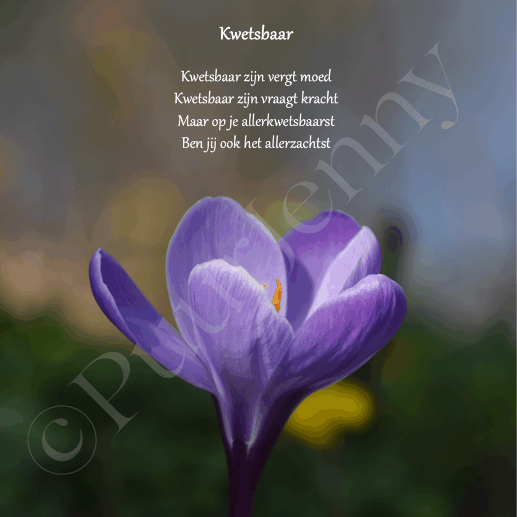 Beeldgedicht Kwetsbaar