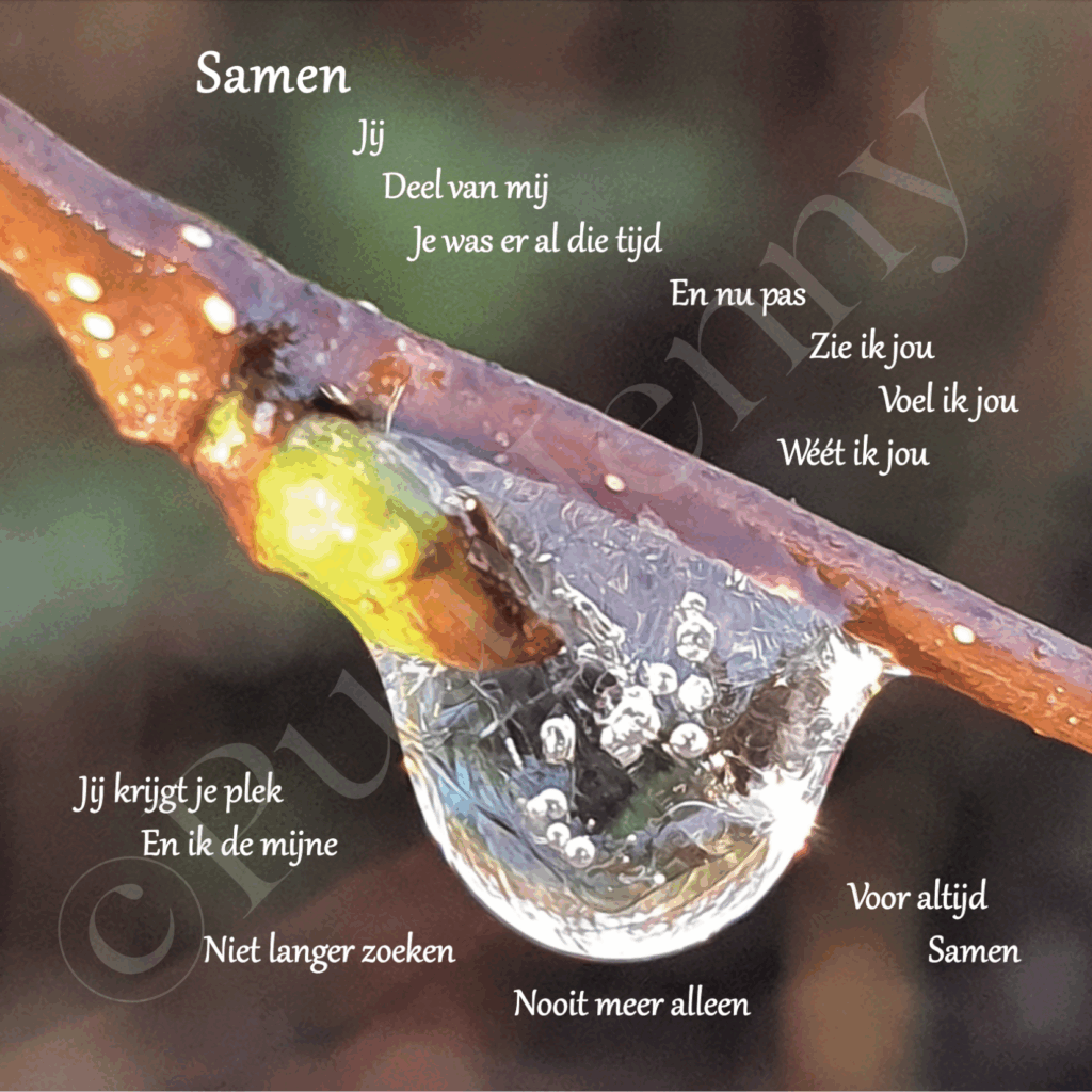 Beeldgedicht Samen