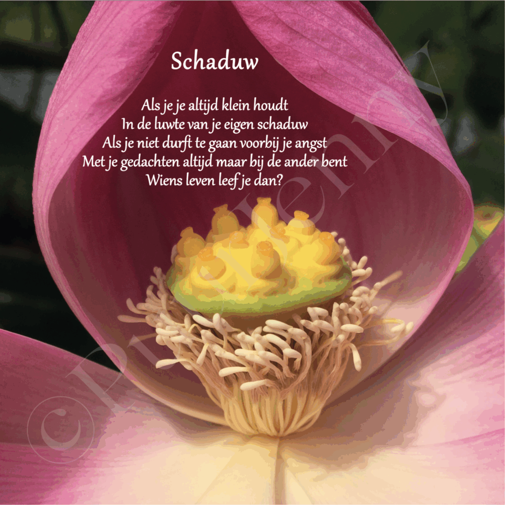 Beeldgedicht Schaduw