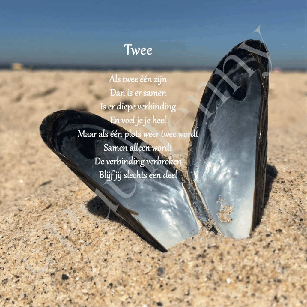 Beeldgedicht Twee